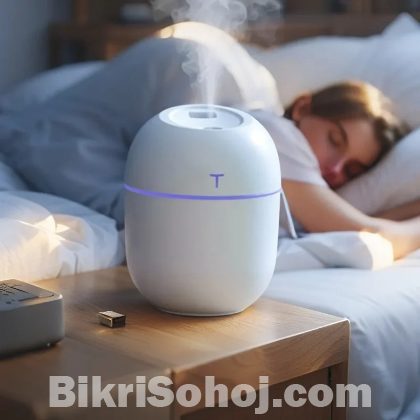 Colorful Egg Humidifier with Night Light